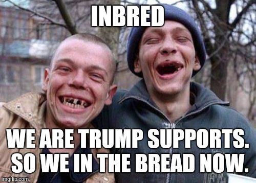 Inbred | INBRED; WE ARE TRUMP SUPPORTS. SO WE IN THE BREAD NOW. | image tagged in memes,ugly twins,donald trump,president,meth,rich | made w/ Imgflip meme maker