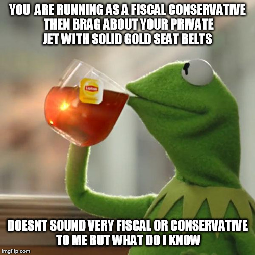 But That's None Of My Business Meme | YOU  ARE RUNNING AS A FISCAL CONSERVATIVE THEN BRAG ABOUT YOUR PRIVATE JET WITH SOLID GOLD SEAT BELTS; DOESNT SOUND VERY FISCAL OR CONSERVATIVE TO ME BUT WHAT DO I KNOW | image tagged in memes,but thats none of my business,kermit the frog | made w/ Imgflip meme maker