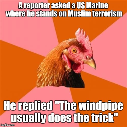 Anti Joke Chicken | A reporter asked a US Marine where he stands on Muslim terrorism; He replied "The windpipe usually does the trick" | image tagged in memes,anti joke chicken | made w/ Imgflip meme maker