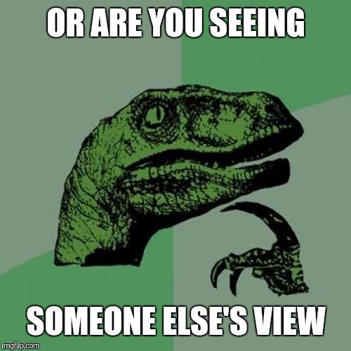 Philosoraptor Meme | OR ARE YOU SEEING SOMEONE ELSE'S VIEW | image tagged in memes,philosoraptor | made w/ Imgflip meme maker