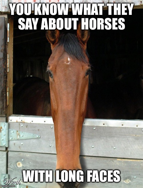 YOU KNOW WHAT THEY SAY ABOUT HORSES WITH LONG FACES | made w/ Imgflip meme maker