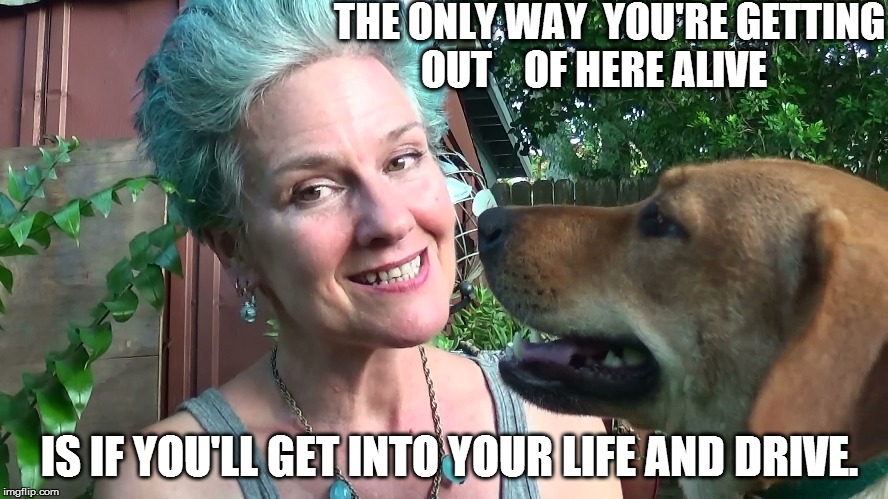 THE ONLY WAY 
YOU'RE GETTING OUT 


OF HERE ALIVE; IS IF YOU'LL GET INTO YOUR LIFE AND DRIVE. | made w/ Imgflip meme maker