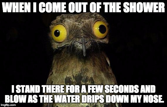 Weird Stuff I Do Potoo Meme | WHEN I COME OUT OF THE SHOWER; I STAND THERE FOR A FEW SECONDS AND BLOW AS THE WATER DRIPS DOWN MY NOSE. | image tagged in memes,weird stuff i do potoo | made w/ Imgflip meme maker