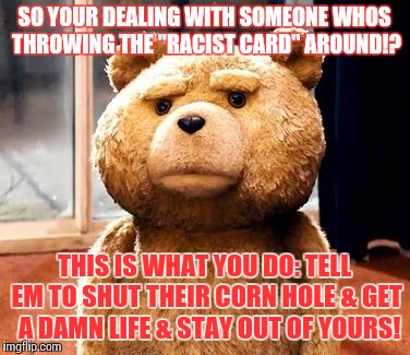 TED | SO YOUR DEALING WITH SOMEONE WHOS THROWING THE "RACIST CARD" AROUND!? THIS IS WHAT YOU DO: TELL EM TO SHUT THEIR CORN HOLE & GET  A DAMN LIFE & STAY OUT OF YOURS! | image tagged in memes,ted | made w/ Imgflip meme maker