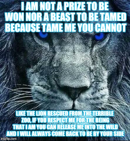 detroit lions | I AM NOT A PRIZE TO BE WON NOR A BEAST TO BE TAMED BECAUSE TAME ME YOU CANNOT; LIKE THE LION RESCUED FROM THE TERRIBLE ZOO, IF YOU RESPECT ME FOR THE BEING THAT I AM YOU CAN RELEASE ME INTO THE WILD AND I WILL ALWAYS COME BACK TO BE BY YOUR SIDE | image tagged in detroit lions | made w/ Imgflip meme maker