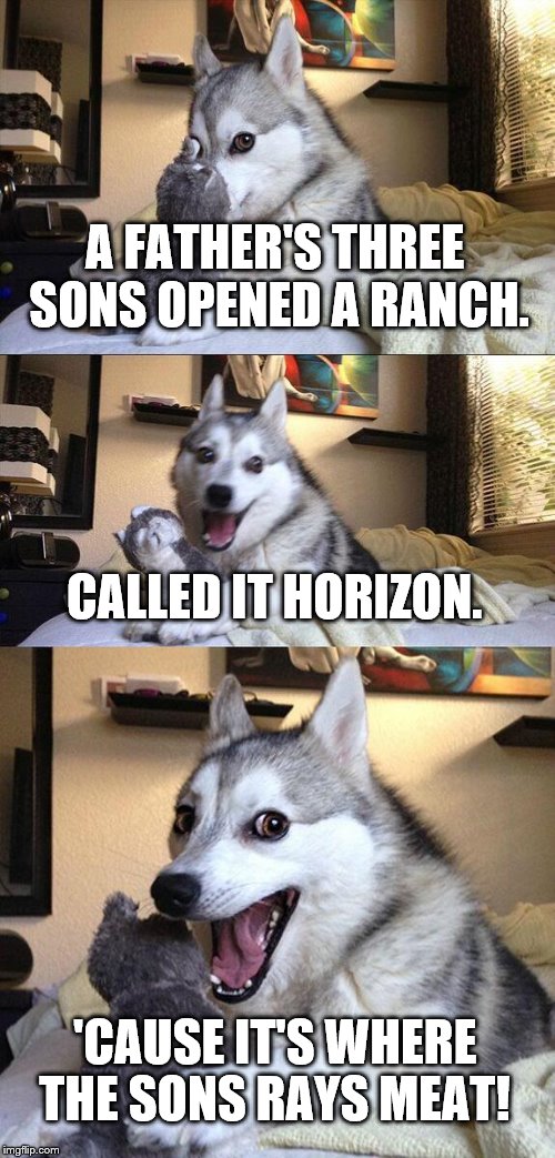 Bad Pun Dog Meme |  A FATHER'S THREE SONS OPENED A RANCH. CALLED IT HORIZON. 'CAUSE IT'S WHERE THE SONS RAYS MEAT! | image tagged in memes,bad pun dog | made w/ Imgflip meme maker