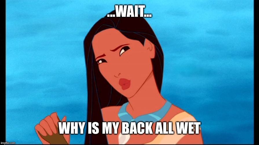 ...WAIT... WHY IS MY BACK ALL WET | image tagged in disney | made w/ Imgflip meme maker