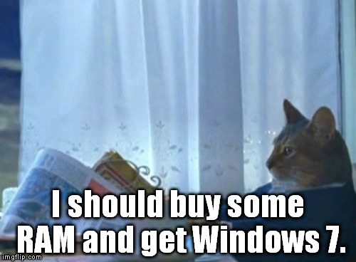 My laptop has a 64-bit 2,0GHz dual core processor with a half-decent integrated graphics card. I'm running Windows XP Pro 32-bit | I should buy some RAM and get Windows 7. | image tagged in memes,i should buy a boat cat | made w/ Imgflip meme maker