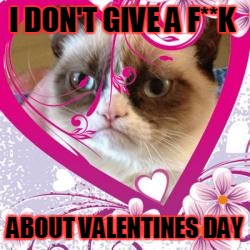 I DON'T GIVE A F**K ABOUT VALENTINES DAY | made w/ Imgflip meme maker
