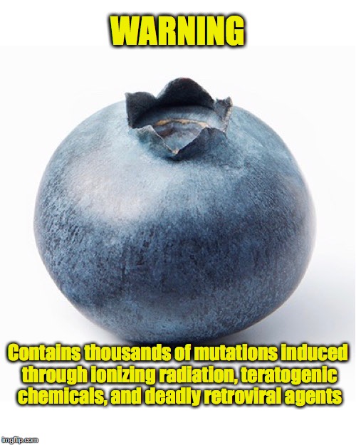 Still worried about GMOs? | WARNING; Contains thousands of mutations induced through ionizing radiation, teratogenic chemicals, and deadly retroviral agents | image tagged in blueberry,gmo,science | made w/ Imgflip meme maker