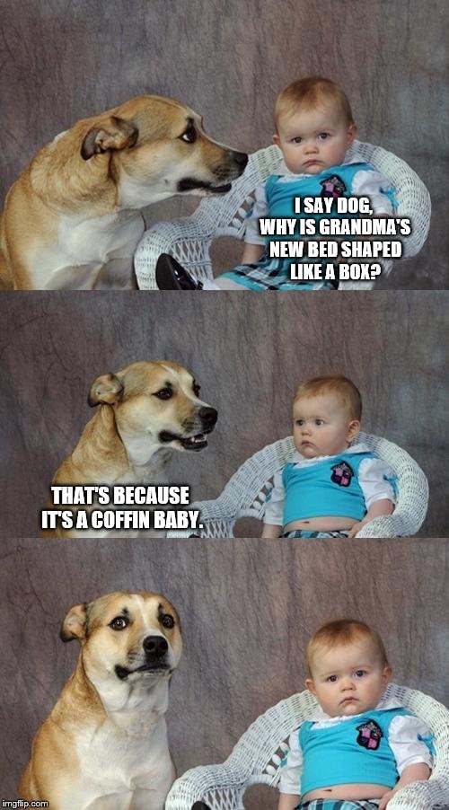 Depressing Meme Vol VIII | I SAY DOG, WHY IS GRANDMA'S NEW BED SHAPED LIKE A BOX? THAT'S BECAUSE IT'S A COFFIN BABY. | image tagged in memes,dad joke dog | made w/ Imgflip meme maker