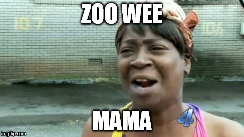 Ain't Nobody Got Time For That Meme | ZOO WEE; MAMA | image tagged in memes,aint nobody got time for that | made w/ Imgflip meme maker