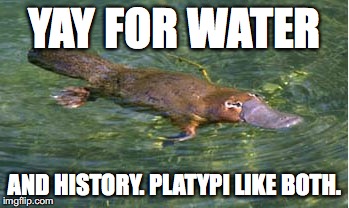 Platypus by Strongly Opinionated Platypus | YAY FOR WATER AND HISTORY. PLATYPI LIKE BOTH. | image tagged in platypus by strongly opinionated platypus | made w/ Imgflip meme maker