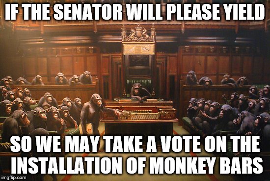 IF THE SENATOR WILL PLEASE YIELD SO WE MAY TAKE A VOTE ON THE INSTALLATION OF MONKEY BARS | made w/ Imgflip meme maker