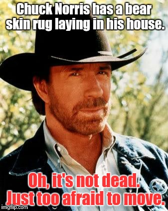 Just the bear* facts | Chuck Norris has a bear skin rug laying in his house. Oh, it's not dead. Just too afraid to move. | image tagged in chuck norris | made w/ Imgflip meme maker