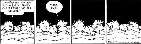 Calvin and Hobbes tiger food Blank Meme Template