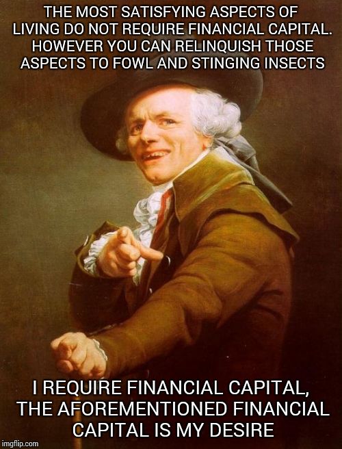 Joseph Ducreux | THE MOST SATISFYING ASPECTS OF LIVING DO NOT REQUIRE FINANCIAL CAPITAL. HOWEVER YOU CAN RELINQUISH THOSE ASPECTS TO FOWL AND STINGING INSECTS; I REQUIRE FINANCIAL CAPITAL, THE AFOREMENTIONED FINANCIAL CAPITAL IS MY DESIRE | image tagged in memes,joseph ducreux | made w/ Imgflip meme maker
