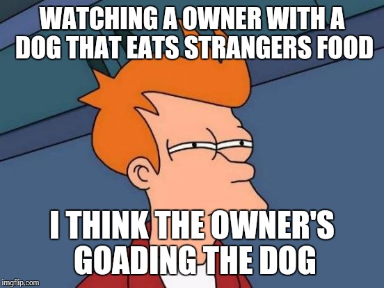 Futurama Fry | WATCHING A OWNER WITH A DOG THAT EATS STRANGERS FOOD; I THINK THE OWNER'S GOADING THE DOG | image tagged in memes,futurama fry | made w/ Imgflip meme maker