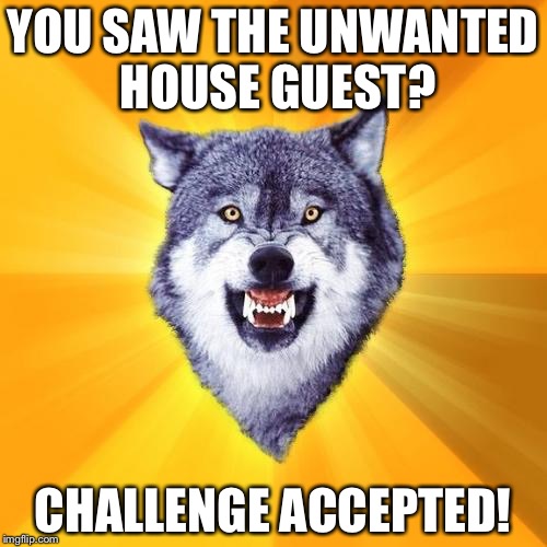 Courage Wolf | YOU SAW THE UNWANTED HOUSE GUEST? CHALLENGE ACCEPTED! | image tagged in memes,courage wolf | made w/ Imgflip meme maker