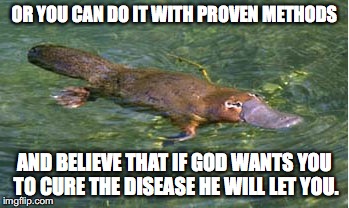 Platypus by Strongly Opinionated Platypus | OR YOU CAN DO IT WITH PROVEN METHODS AND BELIEVE THAT IF GOD WANTS YOU TO CURE THE DISEASE HE WILL LET YOU. | image tagged in platypus by strongly opinionated platypus | made w/ Imgflip meme maker