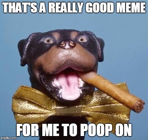 Triumph the Insult Comic Dog | THAT'S A REALLY GOOD MEME; FOR ME TO POOP ON | image tagged in triumph the insult comic dog | made w/ Imgflip meme maker