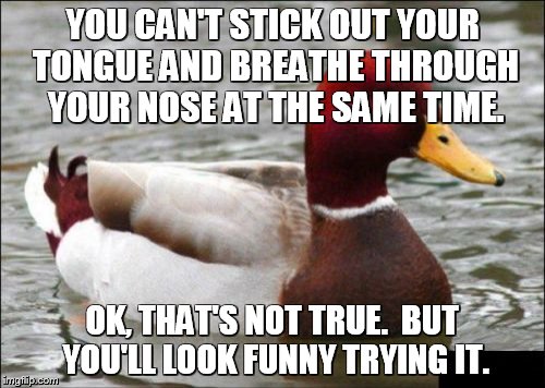Malicious Advice Mallard | YOU CAN'T STICK OUT YOUR TONGUE AND BREATHE THROUGH YOUR NOSE AT THE SAME TIME. OK, THAT'S NOT TRUE.  BUT YOU'LL LOOK FUNNY TRYING IT. | image tagged in memes,malicious advice mallard | made w/ Imgflip meme maker