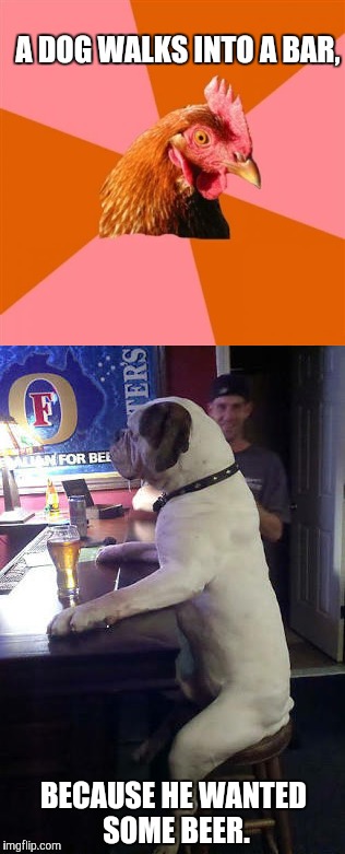 A dog walks into a bar. | A DOG WALKS INTO A BAR, BECAUSE HE WANTED SOME BEER. | image tagged in memes,funny,game_king,lol,dogs | made w/ Imgflip meme maker