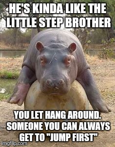Happy hippo | HE'S KINDA LIKE THE LITTLE STEP BROTHER YOU LET HANG AROUND. SOMEONE YOU CAN ALWAYS GET TO "JUMP FIRST" | image tagged in happy hippo | made w/ Imgflip meme maker