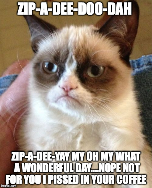 Grumpy Cat Meme | ZIP-A-DEE-DOO-DAH; ZIP-A-DEE-YAY MY OH MY WHAT A WONDERFUL DAY....NOPE NOT FOR YOU I PISSED IN YOUR COFFEE | image tagged in memes,grumpy cat | made w/ Imgflip meme maker