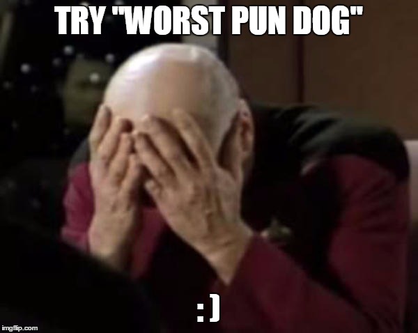 Captain Picard Double Facepalm | TRY "WORST PUN DOG" : ) | image tagged in captain picard double facepalm | made w/ Imgflip meme maker