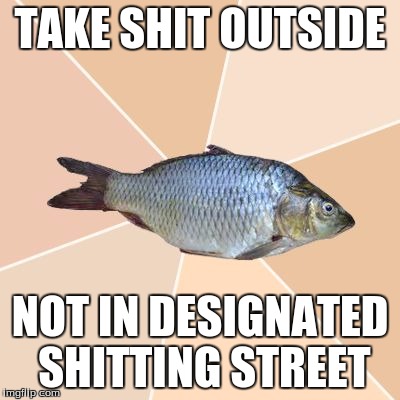 Wrong Place Tuna | TAKE SHIT OUTSIDE; NOT IN DESIGNATED SHITTING STREET | image tagged in wrong place tuna,AdviceAnimals | made w/ Imgflip meme maker