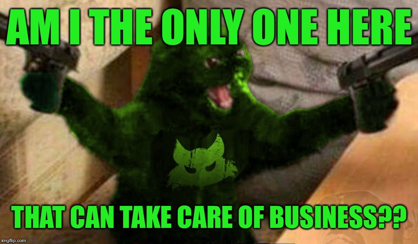 RayCat Angry | AM I THE ONLY ONE HERE THAT CAN TAKE CARE OF BUSINESS?? | image tagged in raycat angry | made w/ Imgflip meme maker