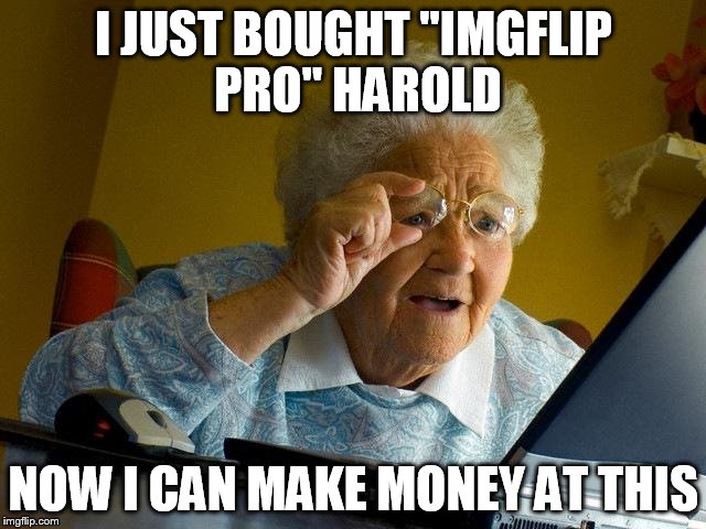 Grandma Finds The Internet | I JUST BOUGHT "IMGFLIP PRO" HAROLD; NOW I CAN MAKE MONEY AT THIS | image tagged in memes,grandma finds the internet | made w/ Imgflip meme maker