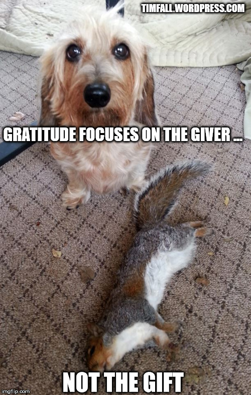 Gratitude Focus | TIMFALL.WORDPRESS.COM; GRATITUDE FOCUSES ON THE GIVER ... NOT THE GIFT | image tagged in a gift | made w/ Imgflip meme maker