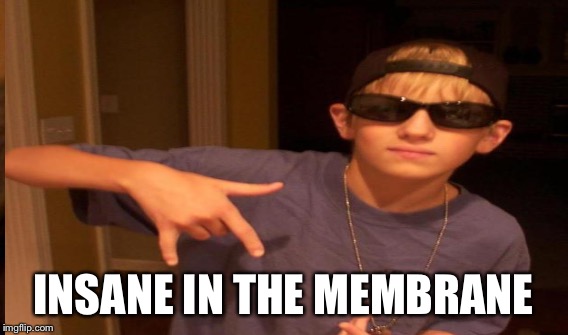 INSANE IN THE MEMBRANE | made w/ Imgflip meme maker