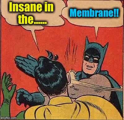 Batman Slapping Robin Meme | Insane in the...... Membrane!! | image tagged in memes,batman slapping robin | made w/ Imgflip meme maker