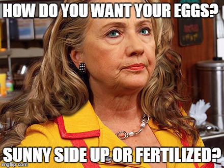 HOW DO YOU WANT YOUR EGGS? SUNNY SIDE UP OR FERTILIZED? | image tagged in mcchurch court appointed attorney / public defender | made w/ Imgflip meme maker