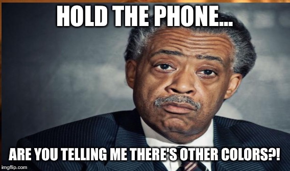 HOLD THE PHONE... ARE YOU TELLING ME THERE'S OTHER COLORS?! | made w/ Imgflip meme maker