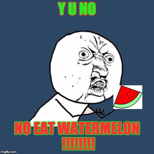 Y U No Meme | Y U NO; NO EAT WATERMELON !!!!!!!! | image tagged in memes,y u no | made w/ Imgflip meme maker