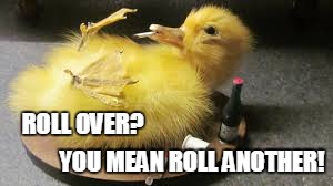 with a little help from my friends... | ROLL OVER? YOU MEAN ROLL ANOTHER! | image tagged in memes,stoner | made w/ Imgflip meme maker