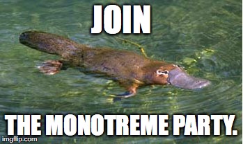 Platypus by Strongly Opinionated Platypus | JOIN THE MONOTREME PARTY. | image tagged in platypus by strongly opinionated platypus | made w/ Imgflip meme maker