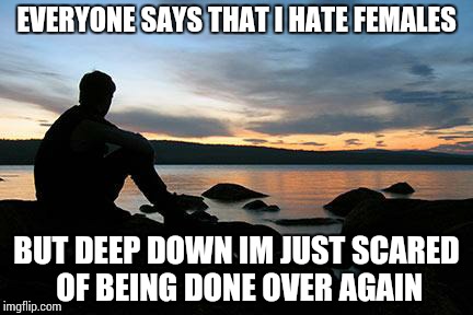 But seriously  |  EVERYONE SAYS THAT I HATE FEMALES; BUT DEEP DOWN IM JUST SCARED OF BEING DONE OVER AGAIN | image tagged in sunsetlakelonelyman | made w/ Imgflip meme maker