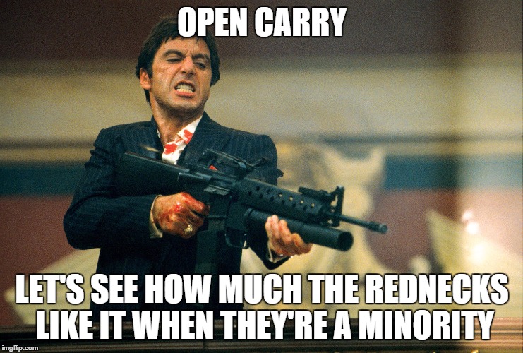 Cockroaches! | OPEN CARRY; LET'S SEE HOW MUCH THE REDNECKS LIKE IT WHEN THEY'RE A MINORITY | image tagged in cockroaches | made w/ Imgflip meme maker