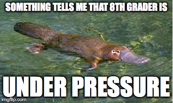 Platypus by Strongly Opinionated Platypus | SOMETHING TELLS ME THAT 8TH GRADER IS UNDER PRESSURE | image tagged in platypus by strongly opinionated platypus | made w/ Imgflip meme maker