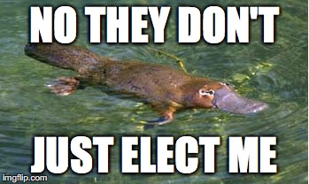 Platypus by Strongly Opinionated Platypus | NO THEY DON'T JUST ELECT ME | image tagged in platypus by strongly opinionated platypus | made w/ Imgflip meme maker