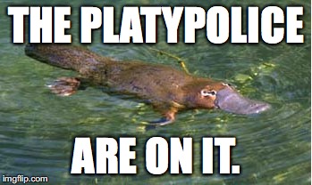 Platypus by Strongly Opinionated Platypus | THE PLATYPOLICE ARE ON IT. | image tagged in platypus by strongly opinionated platypus | made w/ Imgflip meme maker