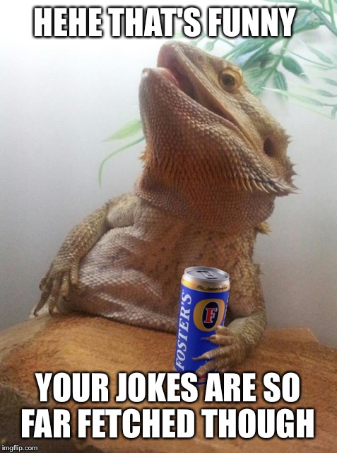 HEHE THAT'S FUNNY YOUR JOKES ARE SO FAR FETCHED THOUGH | made w/ Imgflip meme maker