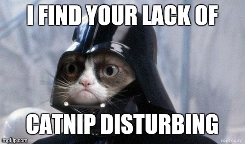 Grumpy Cat Star Wars | I FIND YOUR LACK OF; CATNIP DISTURBING | image tagged in memes,grumpy cat star wars,grumpy cat | made w/ Imgflip meme maker