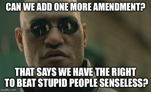 Matrix Morpheus Meme | CAN WE ADD ONE MORE AMENDMENT? THAT SAYS WE HAVE THE RIGHT TO BEAT STUPID PEOPLE SENSELESS? | image tagged in memes,matrix morpheus | made w/ Imgflip meme maker