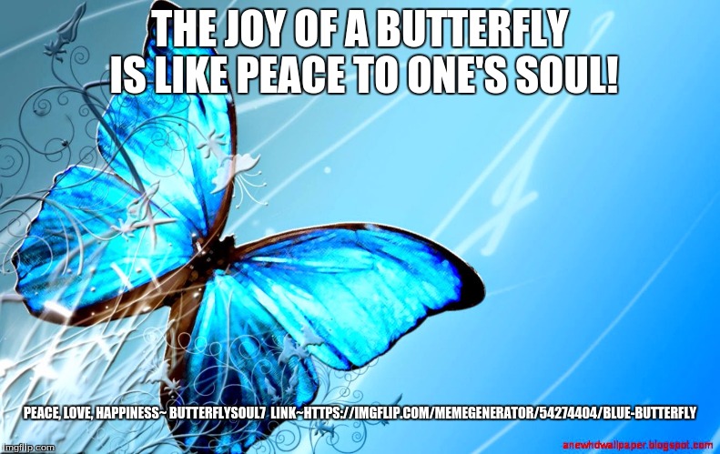 blue butterfly | THE JOY OF A BUTTERFLY IS LIKE PEACE TO ONE'S SOUL! PEACE, LOVE, HAPPINESS~ BUTTERFLYSOUL7

LINK~HTTPS://IMGFLIP.COM/MEMEGENERATOR/54274404/BLUE-BUTTERFLY | image tagged in blue butterfly | made w/ Imgflip meme maker